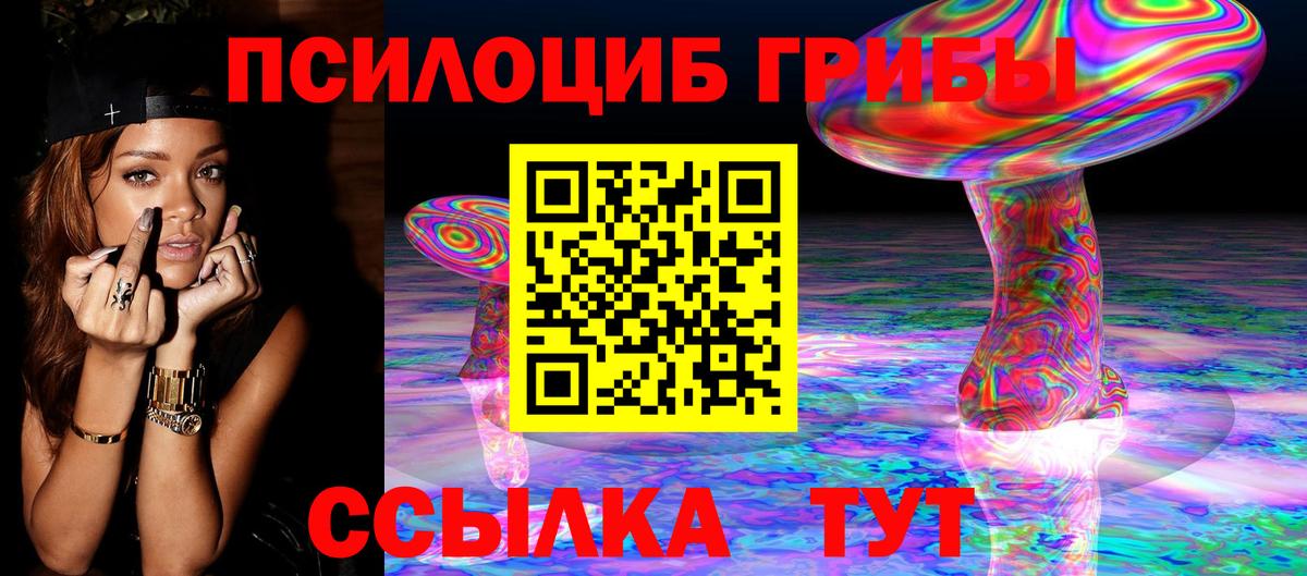 Псилоцибиновые грибы прущие грибы Астрахань